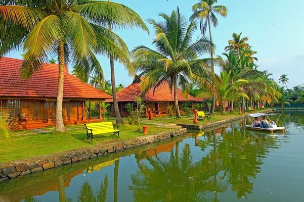 Kondai Lip Alleppey